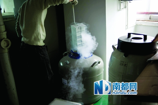 <p>    市二醫(yī)院，從患者血液中分離出的免疫細(xì)胞被存儲(chǔ)在液氮罐里。</p>