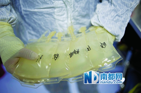 <p>    經(jīng)過培養(yǎng)的細(xì)胞液最終要回輸?shù)交颊唧w內(nèi)。</p>