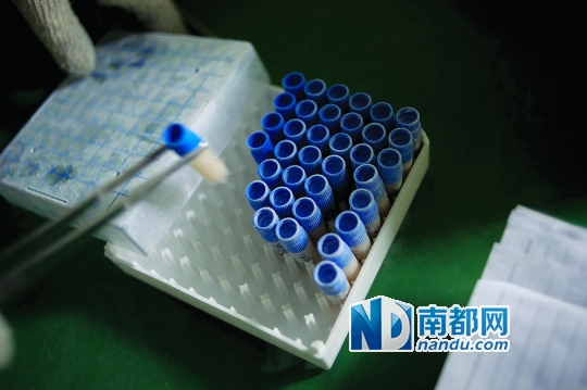 <p>    當(dāng)患者實(shí)施治療時(shí)，會(huì)提前14天通知實(shí)驗(yàn)室，實(shí)驗(yàn)員取出液氮罐里儲(chǔ)存的免疫細(xì)胞樣本進(jìn)行培養(yǎng)。</p>